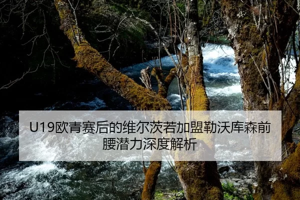 U19欧青赛后的维尔茨若加盟勒沃库森前腰潜力深度解析